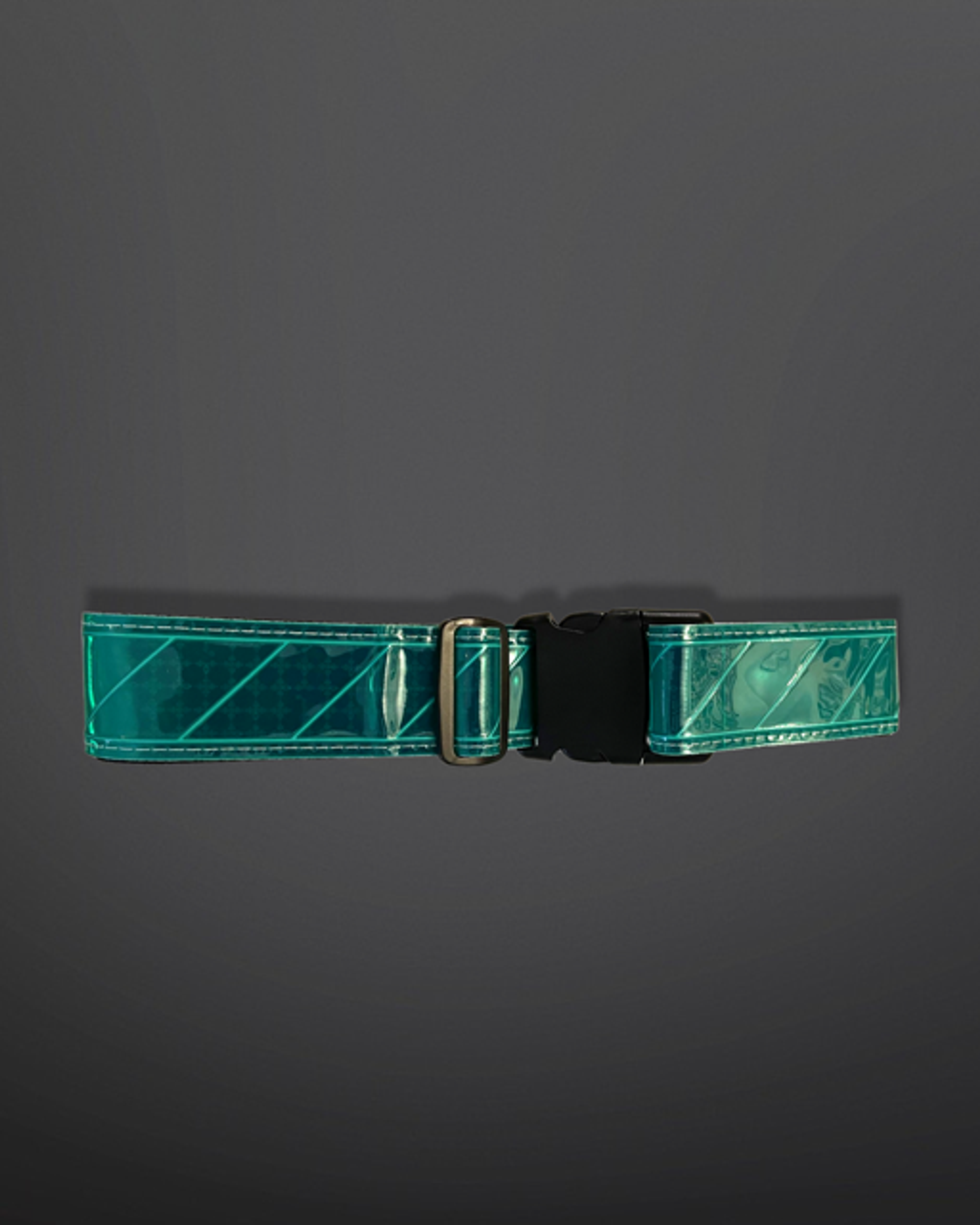 Reflective Web Belt