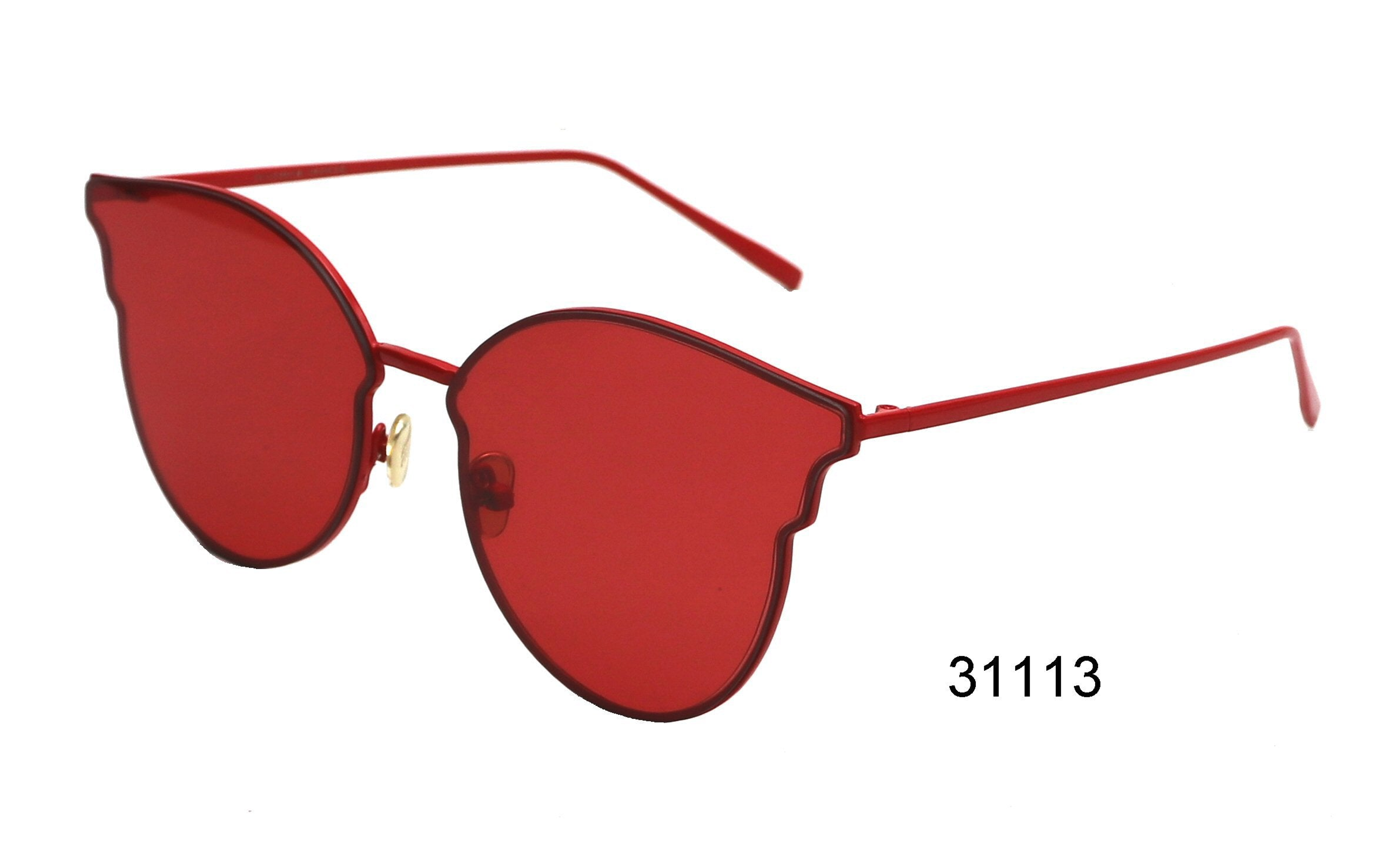 31113 Sunglasses