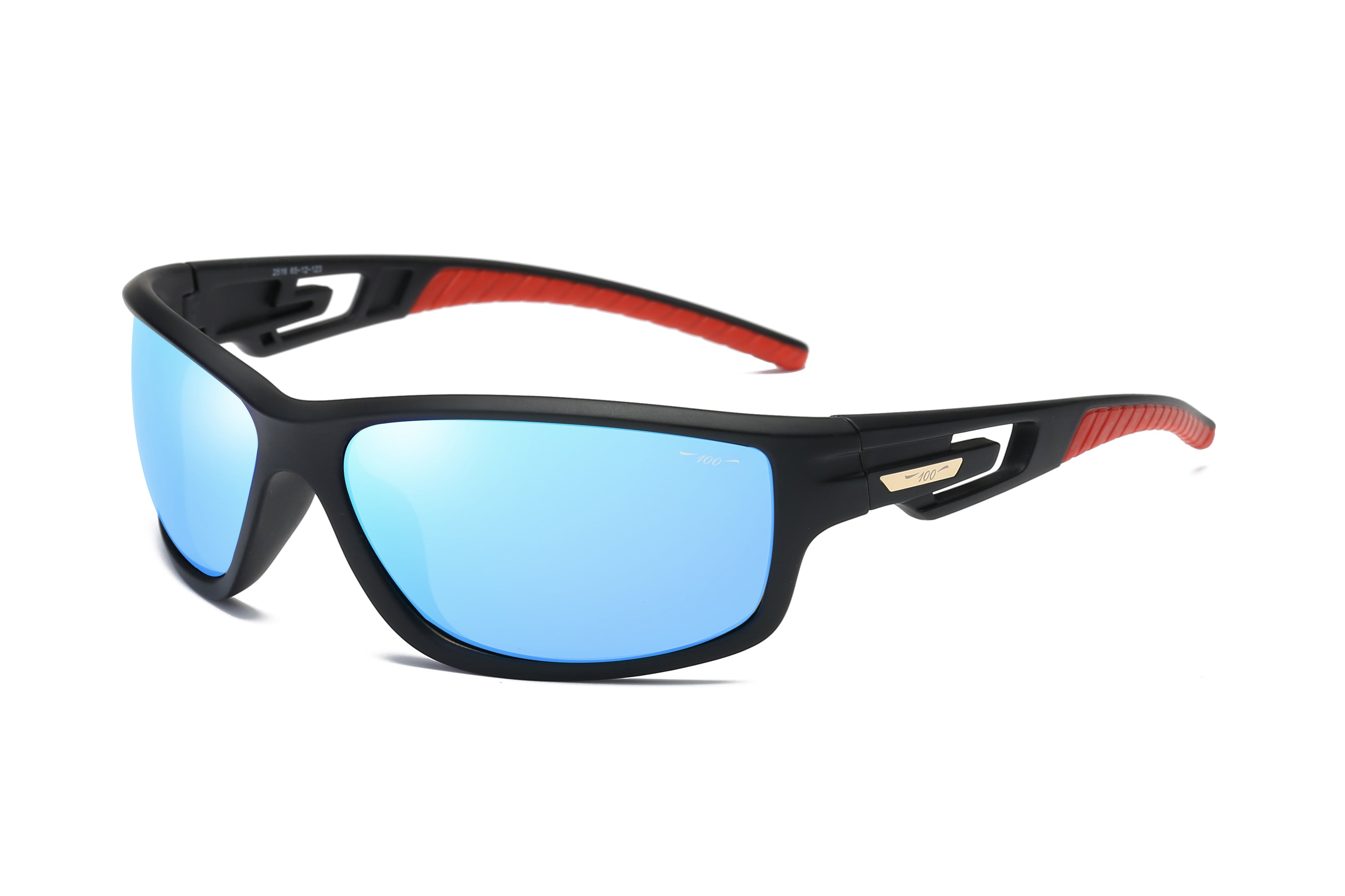 BV2516 Sunglasses