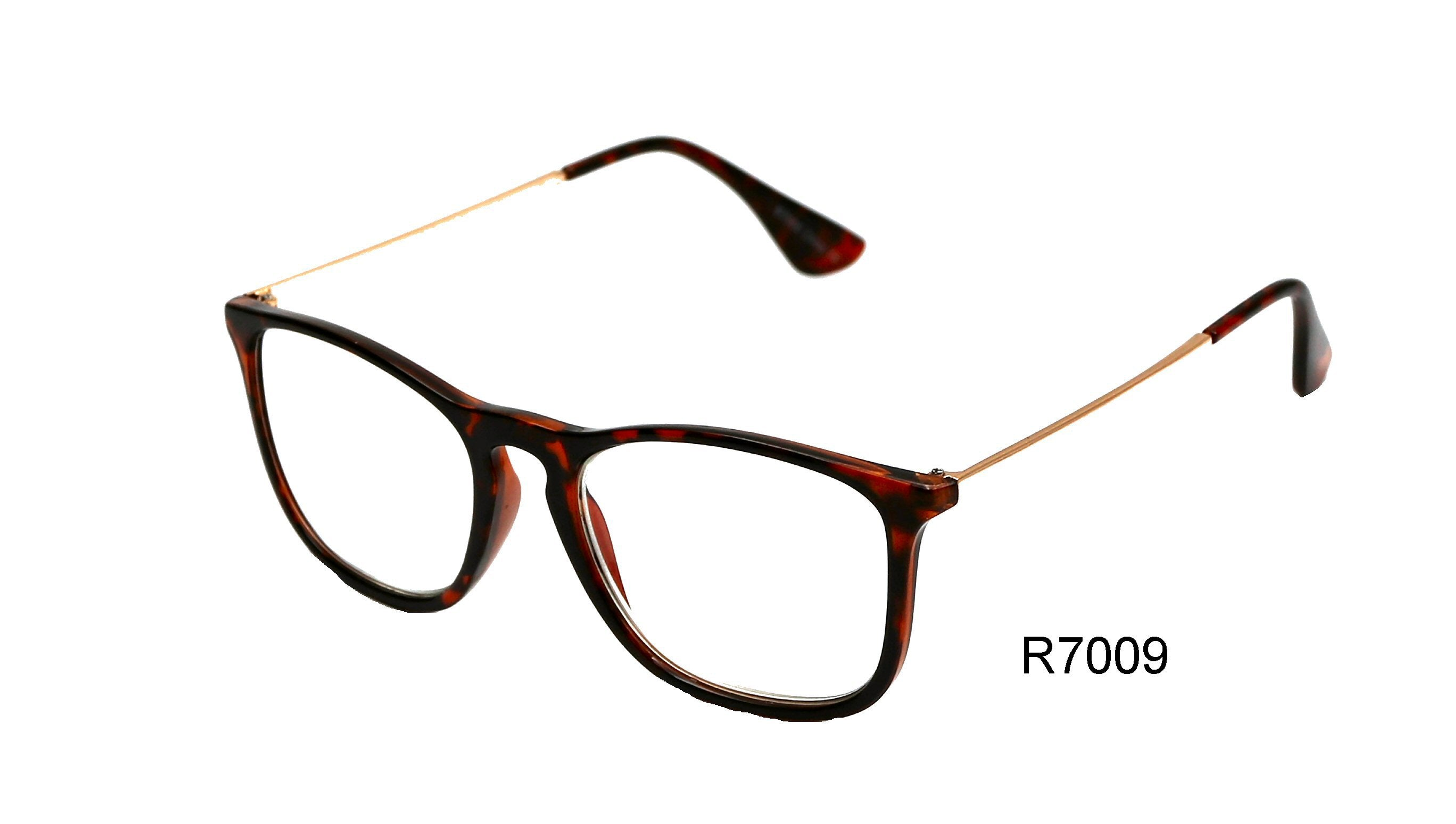 R7009 Sunglasses